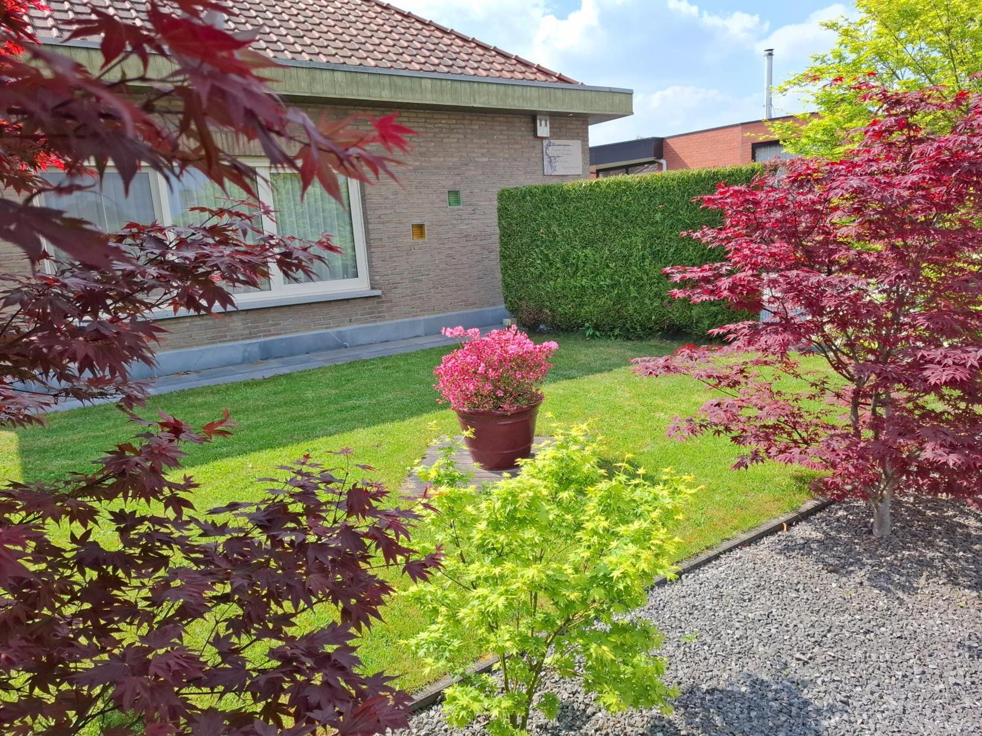 B&B Sogni d'oro Lovendegem Esterno foto